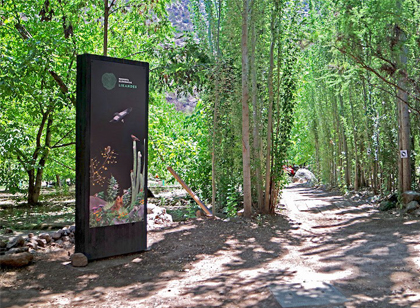 旅游景區(qū)標(biāo)識這樣設(shè)計(jì) 旅客流連忘返不迷路