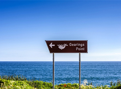 空間的表現(xiàn)形式對公園標(biāo)識系統(tǒng)規(guī)劃設(shè)計(jì)的影響