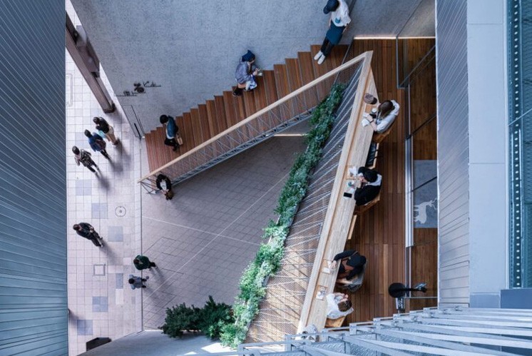 光與木的溫暖敘事：標(biāo)識設(shè)計(jì)中的人文關(guān)懷 